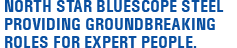 North Star BlueScope Steel providing groundbreaking roles for expert people